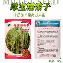 50gram pearl millet seed