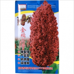 Forage grass grain sorghum seeds/Broomcorn seeds 200gram/bags