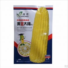 100gram corn seeds price