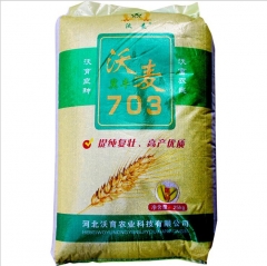 1kg wheat seeds for sale