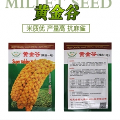 150gram japanese millet seed for sale