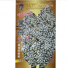 good quality high yield 1000kg per mu grain sorghum seeds/Broomcorn seeds 150gram/bags