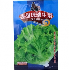 1000 seeds types of lettuce seeds
