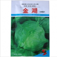 10000 seeds iceberg lettuce seeds for sale