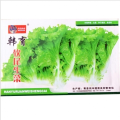 2000 seeds green ice lettuce seeds