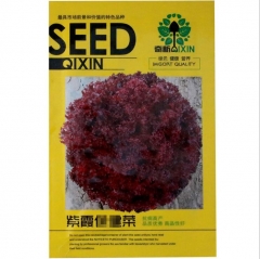 1000 seeds 4 seasons lettuce seeds