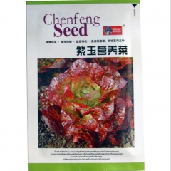 2000 seeds jericho lettuce seeds