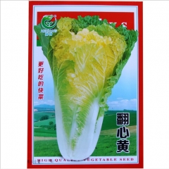500 seed chinese cabbage seeds amazon