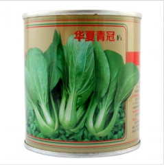 100gram buy cabbage seeds