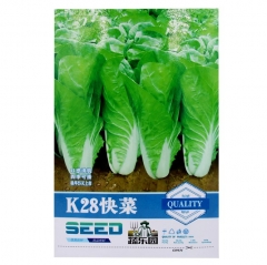 500 seeds golden cross cabbage seeds