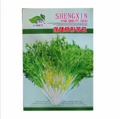 10gram endive lettuce seeds