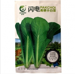 100gram cabbage seeds online