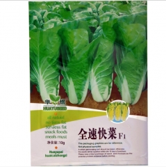 10gram cabbage seeds bulk