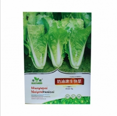 10gram plant cabbage seeds