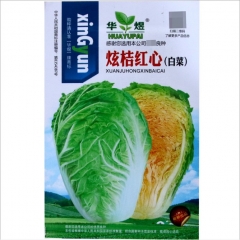 500 seeds giant cabbage seeds