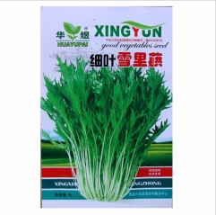 500 seeds Brassica juncea seeds for planting