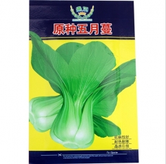 vegetable garden Less fiber delicacy Green Terrie seeds/FROZEN CHINGENSAI seeds 800 seeds/bags