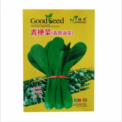 sucessfully plant base vegetable garden delicate Green Terrie seeds/PAKCHOI seeds 40gram/bags for sowing