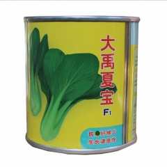 good quality from japanese hybrid f1 Green Terrie seeds/PAKCHOI seeds 100gram/bags for planting