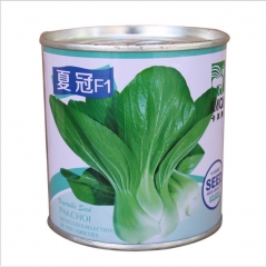 soft and tender early mature Green Terrie seeds/PAKCHOI seeds 100gram/bags for planting