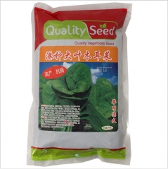 big leaf hybrid f1 Malabar spinach seeds/Gynura cusimbua seeds 500gram/bags for planting