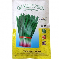 250gram leek seeds amazon