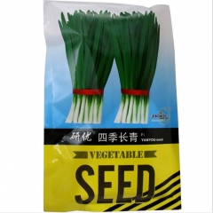 250gram allium tuberosum seeds
