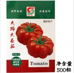 500 seeds big rainbow tomato seeds