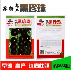 300 seeds super fantastic tomato seeds