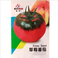 100 seeds preserving tomato seeds