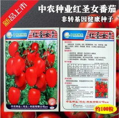 100 seeds delicious tomato seeds