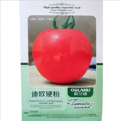 1000 seeds mountain pride tomato seeds