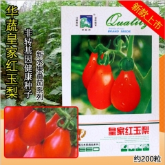 200 seeds planting cherry tomato seeds