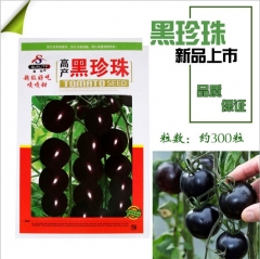 black cherry tomato seeds for planting