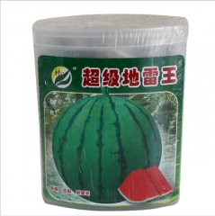 high germination rate Resistance to continuous cropping green peel Watermelon seeds/melon seeds 80gram/bags