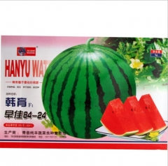early-maturing Sweet crisp Juicy Watermelon seeds/melon seeds 50 seeds/bags for planting