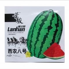 sweet Resistance to continuous cropping hybrid f1 green peel red fresh Watermelon seeds/melon seeds 20gram