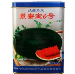 oval big dark green peel red fresh Watermelon seeds/melon seeds 70gram/bags for planting
