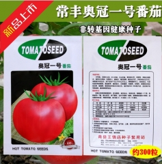 3gram big beef tomato seeds