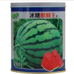 good quality watermelon seeds/Citrullus Vulgaris Schrad seeds 50gram/bags for planting