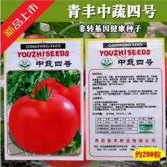 200seeds goliath tomato seeds