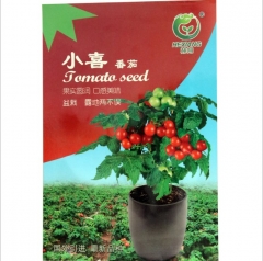 100seeds cherry tomato seeds
