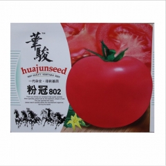 300 seeds heirloom tomato seeds for sale