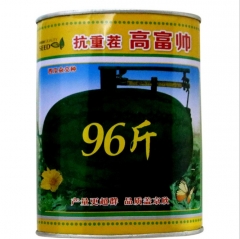 48kg per fruit oval black watermelon seeds for planting