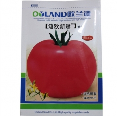 tomato seeds amazon