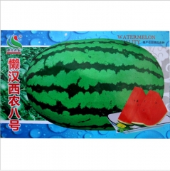 green peel black line red fresh Watermelon seeds/melon seeds 10gram/bags for planting