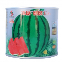 early-mature watermelon seeds 50gram/bags for sowing