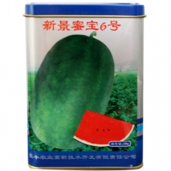 Top quality hybrid watermelon seeds 50gram/bags for planting