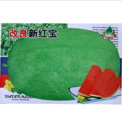 hybrid green skin red fresh watermelon seeds 5gram/bags for planting