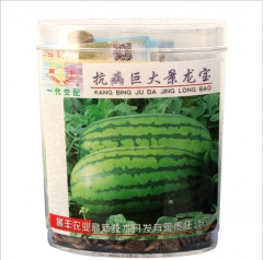 oval watermelon seeds 75gram/bags for planting